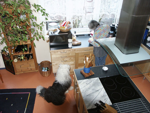 sally gaertner Bobtail Eva K&uuml;che