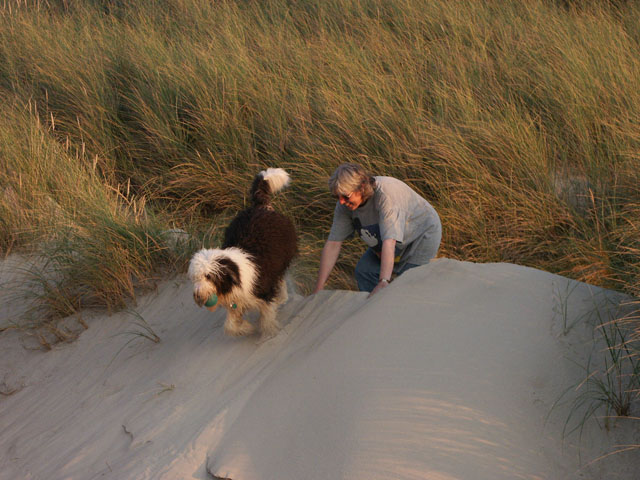 sally gaertner Bobtail D&auml;nemark Eva