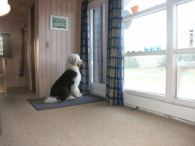 sally gaertner Bobtail D&auml;nemark